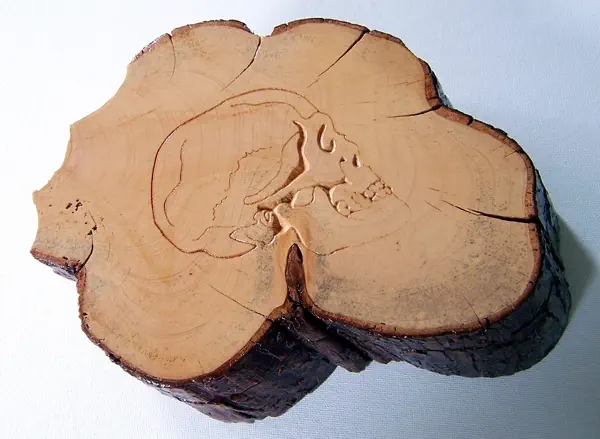cypress slab box with carved skull